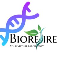 BioResire