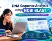 DNA Sequence Analysis Using NCBI BLAST