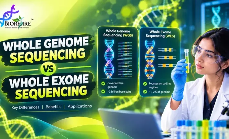 WHOLE GENOME SEQUENCING VS WHOLE EXOME SEQUENCING